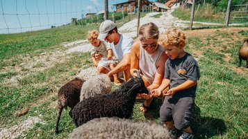 Eltern streicheln zusammen mit ihren beiden Kindern die Schafe auf dem Außengelände vom Familien Petschnighof Resort