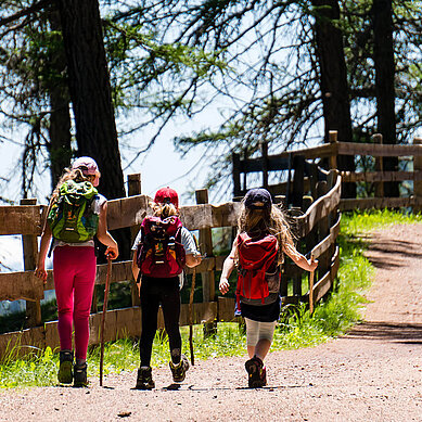 Drei Mädchen mit Rucksack und Wanderausrüstung wandern auf einer Forststraße im Wald entlang.
