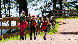 Drei Mädchen mit Rucksack und Wanderausrüstung wandern auf einer Forststraße im Wald entlang.