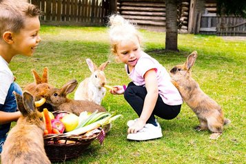 Beim Füttern der Kaninchen erleben Kinder im Familienhotel Alpura Retreat in Südtirol pure Freude.