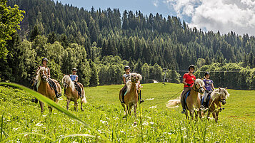 Jugendliche reiten Pferden über eine saftig grüne Wiese im Salzburger Land.