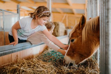 Zwei Kinder streicheln ein Pferd im liebevoll gestalteten Stallbereich des Familienhotels Friedrichshof.