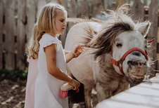 Mädchen pflegt ein Pony im Tierbereich des Familienhotel Mia Alpina in Tirol.