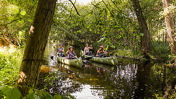 Personen fahren mit einem Boot über ein Fluss mit Baumen.