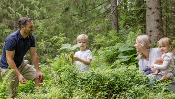 Eltern mit zwei Kindern unterwegs im Wald, zwischen Farnen und Blättern