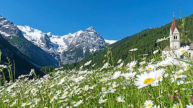 Einmaliger Ausblick vom Familienhotel Bella Vista in Südtirol, auf die Berge und Weiden und eine Gänseblümchen-Wiese.