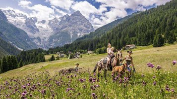 Ausreiten über eine blühende Wiese in Trafoi in Südtirol beim Hotel Bella Vista, im Hintergrund Berge und Wald.