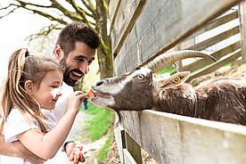 Ein Kind füttert unter Aufsicht des Vaters eine Ziege mit einer Karotte.