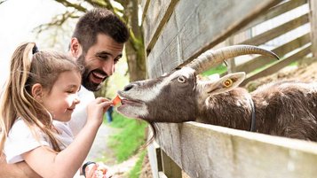 Ein Kind füttert unter Aufsicht des Vaters eine Ziege mit einer Karotte.