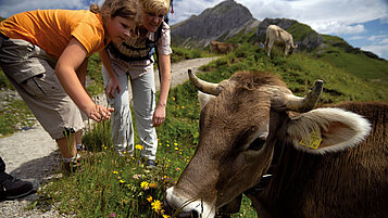 Was wäre eine Wandertour in Tirol ohne Kühe? Kinder beim Versuch eine Kuh zu streicheln.