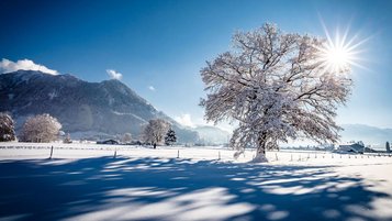 Traumhafte Winterlandschaft im Allgäu. Die Sonne strahlt zwischen einem Baum durch und es liegt Schnee.