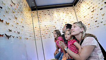 Familie bestaunt die Ausstellungsstücke im Landesmuseum Liechtenstein.