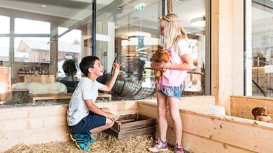 Kinder sammeln Eier und streicheln die Hühner im Hühnerstall vom Familienhotel Almfamilyhotel Scherer in Tirol.
