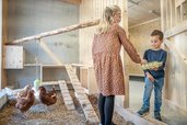 Kinder sammeln Eier im Hühnerstall vom Familienhotel Almfamilyhotel Scherer in Tirol.