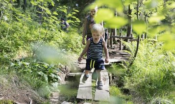 Ein Mann und eine Frau beim Wandern in der Natur rund um das Familienhotel Feldberger Hof im Schwarzwald 