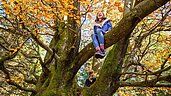 Zwei Kinder sitzen in einer Baumkrone vom Familienhotel Am Rennsteig im Thüringer Wald.