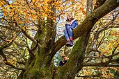 Zwei Kinder sitzen in einer Baumkrone vom Familienhotel Am Rennsteig im Thüringer Wald.