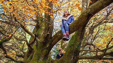 Zwei Kinder sitzen in einer Baumkrone vom Familienhotel Am Rennsteig im Thüringer Wald.