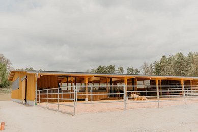 Großzügige Reithalle mit Außenbereich und Pferden beim Familienhotel Friedrichshof.