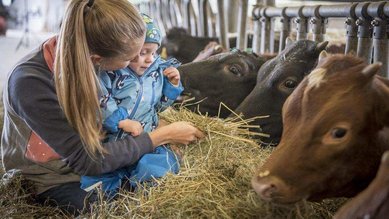 Kind mit Mutter streicheln eine Kuh im Stall des Familienhotel Furtherwirt und erleben den Alltag auf dem Bauernhof hautnah.