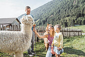 Mutter und Vater streicheln gemeinsam mit ihrem Kind die beiden Alpakas des Familienhotels Huber in Südtirol.