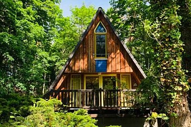 Außenansicht eines Ferienhauses des Family Club Harz im Sommer. Das Haus ist umgeben von grünen Bäumen und Büschen.