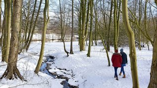 Winterspaziergang durch den Wald am Ems Kanal bei der Koppelschleuse in Meppen.