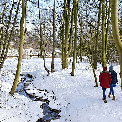 Winterspaziergang durch den Wald am Ems Kanal bei der Koppelschleuse in Meppen.