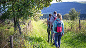 Ramilienwanderung in der Rhön: Auf dem Buchschirmberg durch Wiesen vorbei an vereinzelten Bäumen wandert eine Familie.