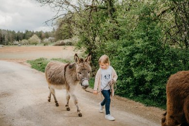 Ein Mädchen führt einen Esel entlang eines Waldwegs rund ums Familienhotel Friedrichshof.