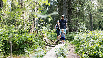 Familie spaziert durch die grüne Natur des Schwarzwaldes.