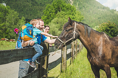Während einer Wanderung trifft eine Familie auf ein Pferd und füttern dieses mit frischem Gras.