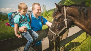 Während einer Wanderung trifft eine Familie auf ein Pferd und füttern dieses mit frischem Gras.