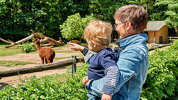 Mutter beobachtet zusammen mit ihrem Kind auf dem Arm die Alpakas im Tierpark.