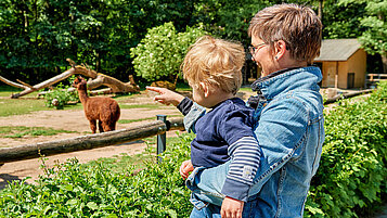 Mutter beobachtet zusammen mit ihrem Kind auf dem Arm die Alpakas im Tierpark.