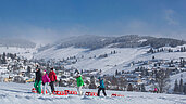 Super Sonne, super Wetter - Todtnauberg im Schwarzwald eignet sich für viele Winteraktivitäten wie Skifahren und Rodeln.