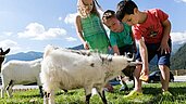 Wie auf einem echten Bauernhof ist es im Almfamilyhotel Scherer. Hier erleben Kinder die zahmen Ziegen hautnah.