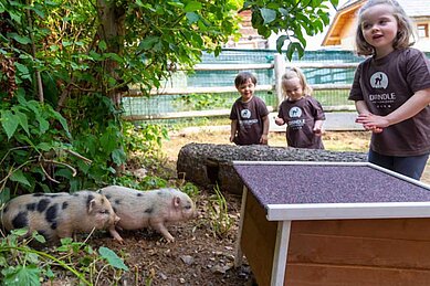 Kinder im Freilaufgehege der Schweine im Familienhotel Familien Resort Petschnighof in Kärnten.