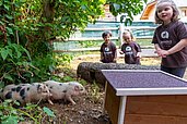 Kinder im Freilaufgehege der Schweine im Familienhotel Familien Resort Petschnighof in Kärnten.