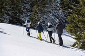Familie bei einer Schneeschuhwanderung durch die winterliche Landschaft in Kärnten