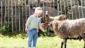 Ein Kind füttert eine Ziege mit Gras in einem Familienhotel