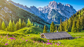 Gemeinsames Wandern im Sommer in der Schweiz.