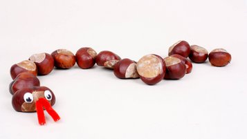 Basteln mit Kastanien, eine Schlange aus Kastanien