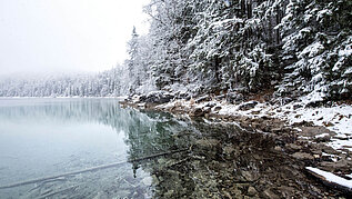 Bayern im Winter: Glasklarer See mit schneebedecktem Wald umgeben.