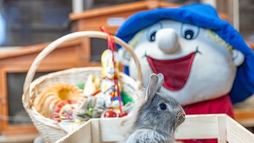 Graues Kaninchen sitzt in einer Holzkiste, dahinter ein Osterkorb mit Süßigkeiten und ein fröhliches Maskottchen mit blauem Hut.