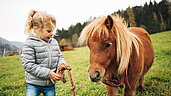 Kleines Mädchen führt ein Pony über eine Wiese an der Leine. 