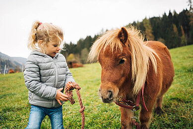 Kleines Mädchen führt ein Pony über eine Wiese an der Leine. 