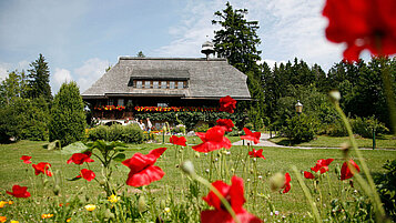 Das Heimatmuseum in Huesli Grafenhausen lässt jeden zum Entdecker werden. Einen Ausflug wert beim Wandern im Schwarzwald.