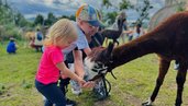 Kinder füttern gemeinsam ein Alpaka am Familienhotel Rhön Feeling.