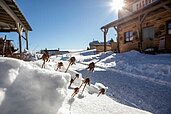 Schneebedeckte Einfahrt zum Familienhotel Elldus Resort im Erzgebirge.